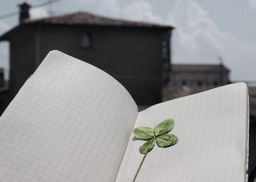 Four-leaf clover a good luck talisman